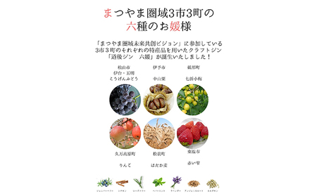 道後ジン 六媛・トニックセット（G6-200） お酒 晩酌 家飲み 宅飲み 愛媛県産素材 ボタニカル 華やかな香り 香ばしい香り キレ のかな甘み トニックウォーター 