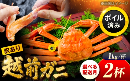 【先行予約/3月配送】訳アリ 脚折れあり 越前がに 1kg×2ハイ 小浜市 / まるほ商店【配送不可地域：北海道・沖縄・離島】 [BFCS075]