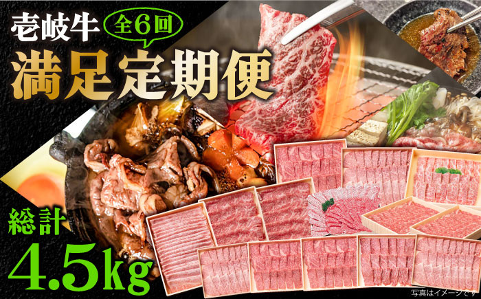 
            【全6回定期便】《A4～A5ランク》壱岐牛 満足定期便《壱岐市》【壱岐市農業協同組合】 [JBO081] 和牛 黒毛和牛 ロース サーロイン ステーキ BBQ 焼肉 焼き肉 すき焼き しゃぶしゃぶ 鍋 うす切り 260000 260000円
          