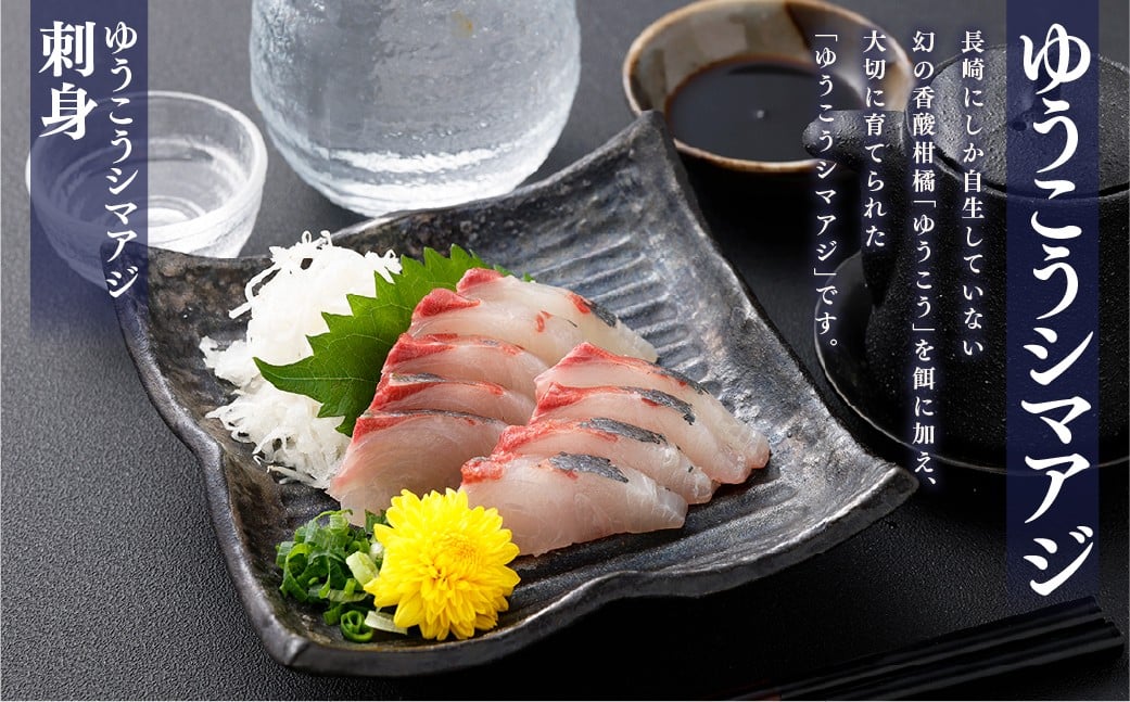【14営業日以内発送】【premiumfishbrand】 ゆうこうシマアジ （活〆） ×1尾 （約1kg） シマアジ しまあじ 鯵 アジ あじ ゆうこう ブランド魚 魚 海鮮 九州 長崎県 長崎市 