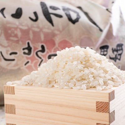 【毎月定期便】京都与謝野町産コシヒカリ「京の豆っこ米」精米10kg【高島屋選定品】全6回【4084641】
