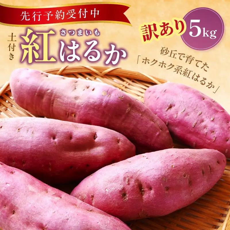 【2026年11月上旬から順次発送】訳ありさつまいも 紅はるか5kg サツマイモ
