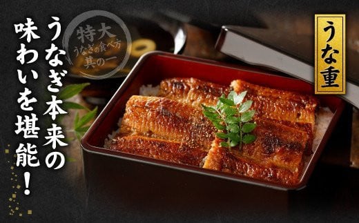 【丑の日／配達日指定可能】九州産 うなぎ 蒲焼 特大 4尾 計880g以上 (1尾あたり220～235g)