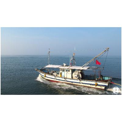ふるさと納税 土庄町 小豆島島鱧 活け〆骨切り　280g入り×2パック |  | 02