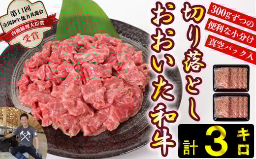 ＜生産者支援品＞おおいた和牛切り落とし3kg（300g×10p） ※真空パック 【匠牧場】 牛肉 切り落とし 和牛 国産 小分け 生産者応援の品 おおいた和牛 キャンプ バーベキュー
