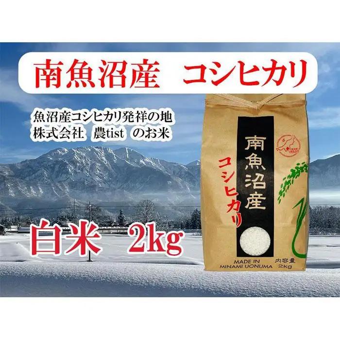 【令和8年 新米】【南魚沼産】コシヒカリ 白米2kg｜コシヒカリ