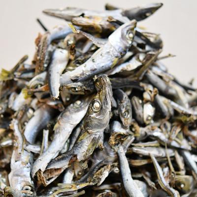 ふるさと納税 山田町 【数量限定】【訳あり】無添加 国産 煮干し 1.4kg 出汁 カルシウム にぼし いわし イワシ |  | 01