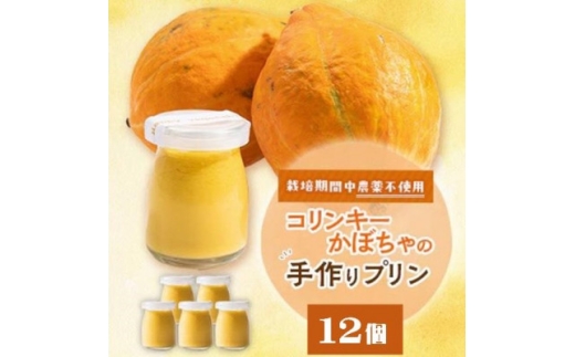 栽培期間中、農薬を使わず自家栽培した「コリンキーかぼちゃ」使用の手作りプリン　12個【1670918】