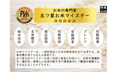 【 無洗米 】お米 ひとめぼれ 10kg （ 5kg × 2袋 ） 令和7年産 一等米 精米 遠野産 五つ星 お米マイスター Prof. 厳選 【 コメマルシェ 河判】おこめ 白米 精米 SDGs 岩