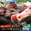 【ふるさと納税】【全3回定期便】まぐろ おまかせバーベキューセット 冷凍約2kg 鮪 マグロ BBQ 魚 横須賀【本まぐろ直売所】[AKAK029]