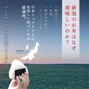 【令和7年新米予約】新潟産コシヒカリ 5kg 米 精米