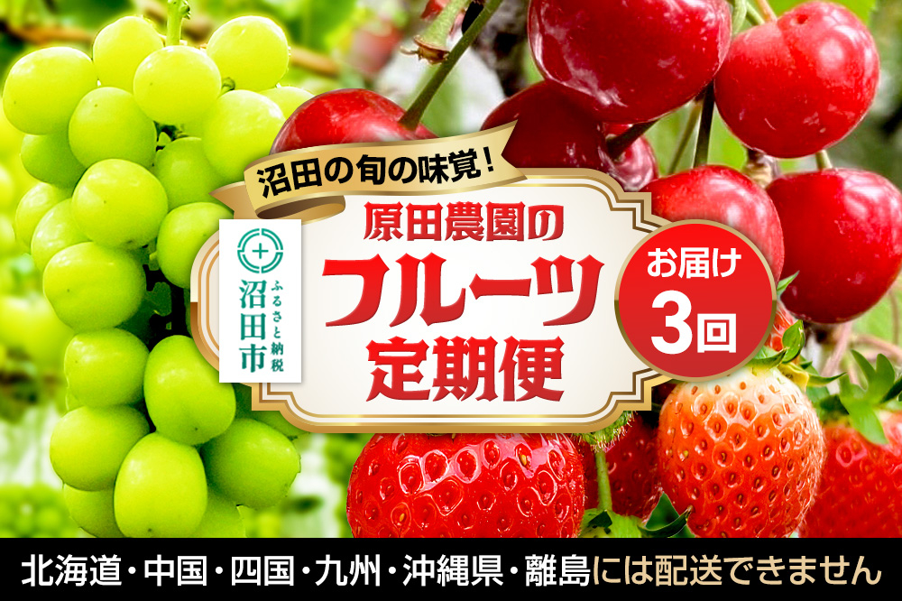 
            《一部地域限定配送》3回お届け！原田農園のフルーツ定期便 シャインマスカット→いちご→さくらんぼ
          