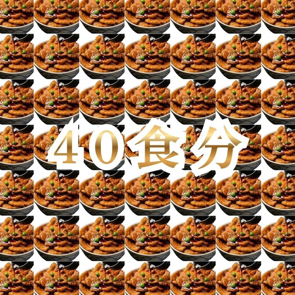 【1月配送】ホクレン 北海道のぶた丼 （2食入り）250g×20袋 北海道産 豚肉使用 産地直送 冷凍