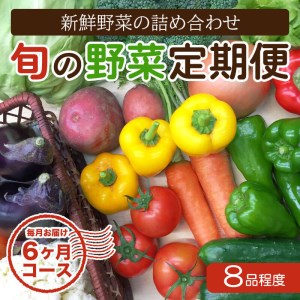 6回定期便 野菜 7~8品程度 | 野菜詰め合わせ 野菜 やさい 野菜セット 野菜 野菜定期便 定期便