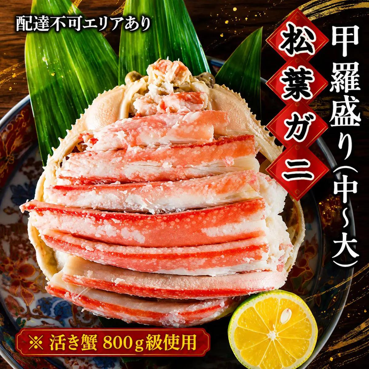 【お申込み～2026年7月中旬発送】松葉蟹 ほぐし身 活き蟹 800g級使用 甲羅盛り 蟹 松葉蟹
