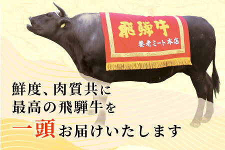 牛一頭まるごと千人前！ 飛騨牛 牛一頭 横綱セット 千人前 計197kg 一括配送 A5等級 すき焼き しゃぶしゃぶ ステーキ 焼肉 BBQ ランプ イチボ カイノミ サーロイン ヒレステーキ ロース