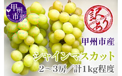 【クール配送】訳あり シャインマスカット 2～3房（合計約1kg）【2025年発送】（KFT）A08-1810 【訳あり シャインマスカット 葡萄 ぶどう ブドウ 令和7年発送 期間限定 山梨県産 甲州市 フルーツ 果物】