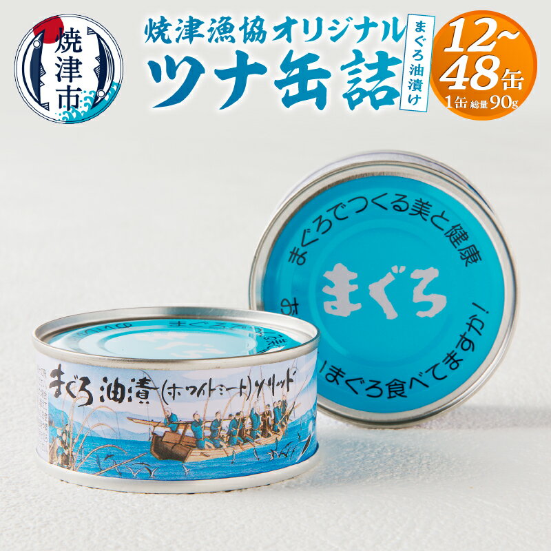 【ふるさと納税】 缶詰 ツナ缶 まぐろ 油漬け 12缶入 24缶入 48缶入 漁協 オリジナル ツナ缶詰 ソリッド 常温 化粧箱入り 贈答 プレゼント 長期保存 備蓄 魚 焼津 【選べる個数】 a12-163