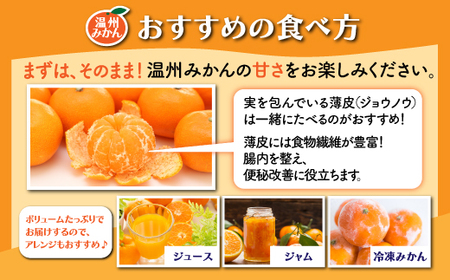 【先行予約】【発送は2026年9月中旬から10月上旬ごろ】佐賀県産みかん”約5kg（箱込み重量）｜【数量限定】混合サイズ｜濃縮旨み ｜ 国産 佐賀県産 ミカン 蜜柑 果物 フルーツ 送料無料 A-22