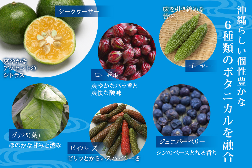 沖縄初のクラフトジン!!「まさひろオキナワジン」2本セット