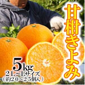 「甘柑きよみ」5kg【C79-27】【1474163】