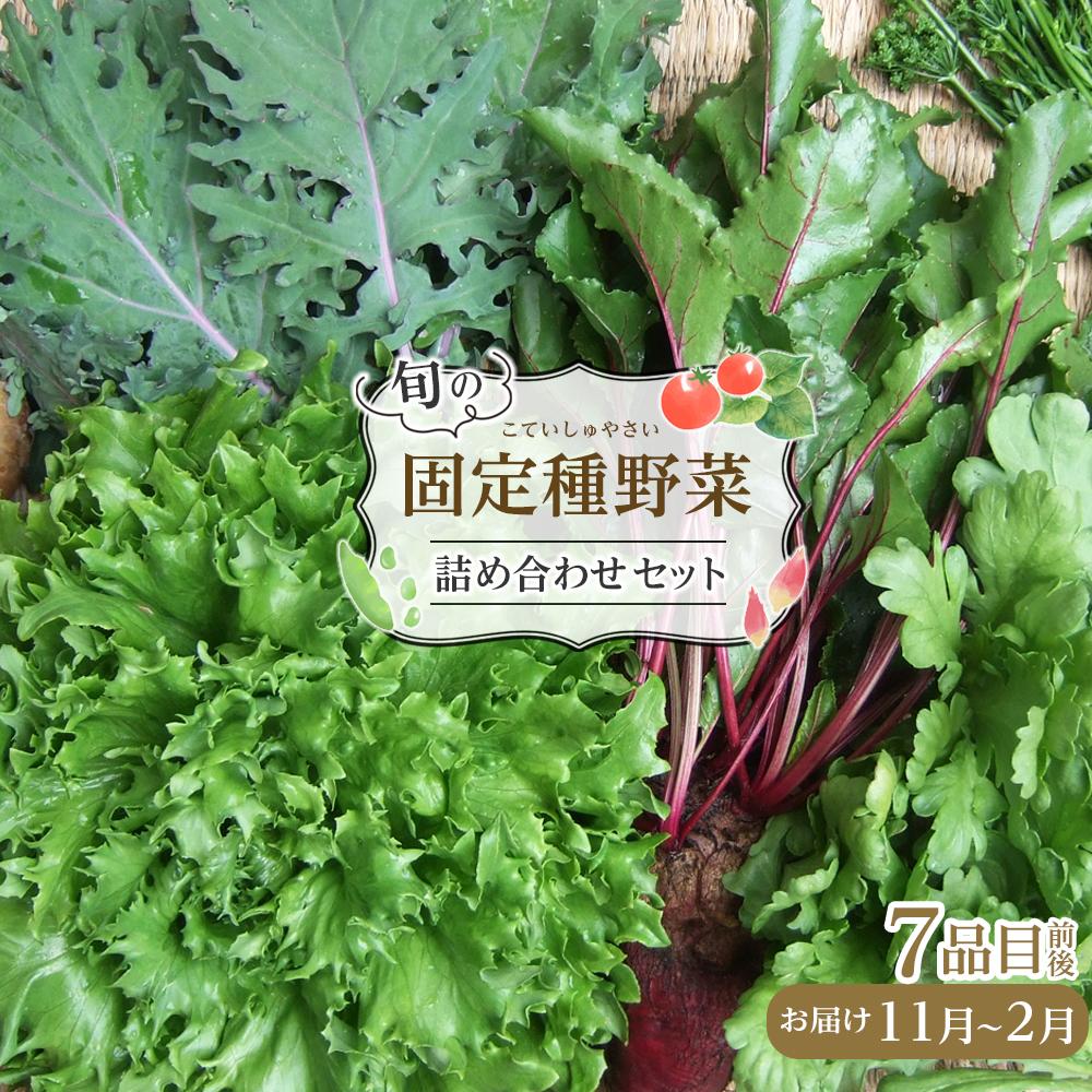 【ふるさと納税】野菜 2025年 旬の固定種野菜 バイオダイナミック農業 7品目前後（11月～2月のお届け）常温配送 | 野菜 やさい 食品 人気 おすすめ 送料無料