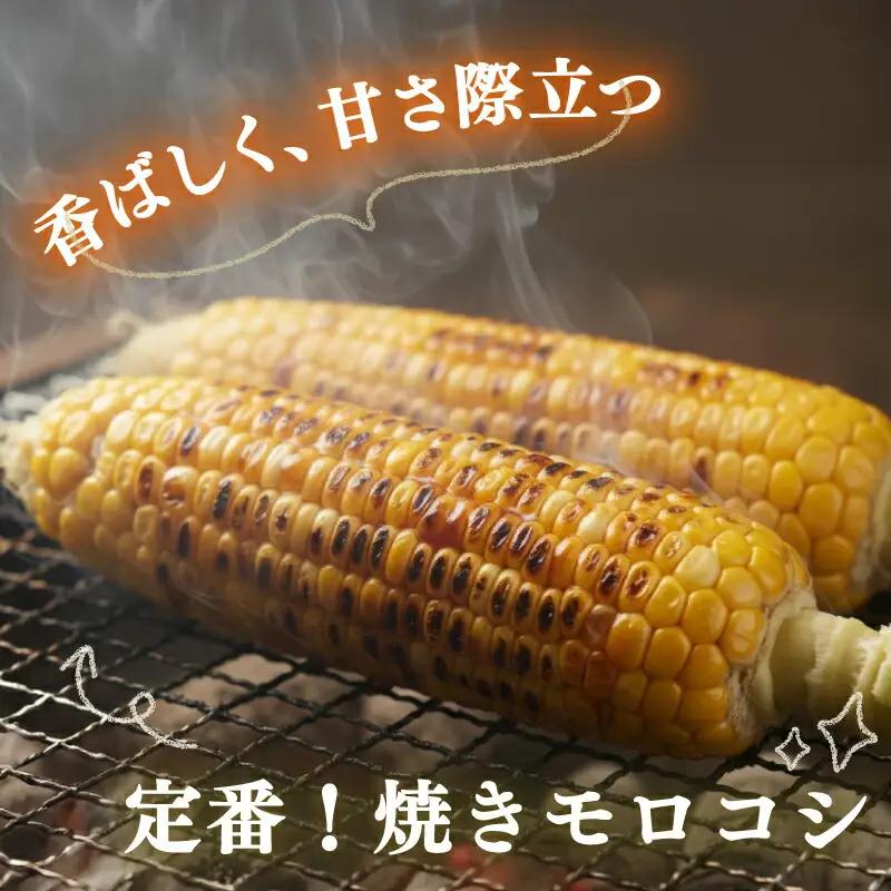 【2026年先行予約 / 数量限定 とうもろこし】フルーツコーン バイカラー種 5本 とうもろこし