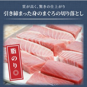 鷹島産本まぐろ 贅沢まぐろ丼セットたっぷり2人前(赤身と中・大トロの切り落とし200g)（マグロ 本マグロ 鷹島産本マグロ まぐろ 本まぐろ 鷹島産本まぐろ マグロ丼 まぐろ丼 本マグロ赤身 本まぐろ