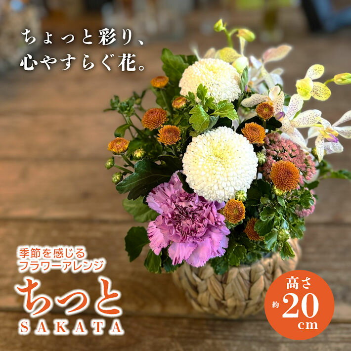 【ふるさと納税】季節を感じるフラワーアレンジ 「SAKATA ちっと」 ※着日指定・離島発送不可 フラワー 旬 春 夏 秋 冬 東北 山形県 酒田市 庄内 フローリスト
