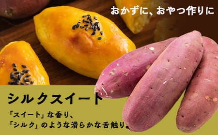 【10月発送!】【秋山農園】北海道産 さつまいも シルクスイート5kg 野菜 いも 芋 さつまいも 北海道ふるさと納税