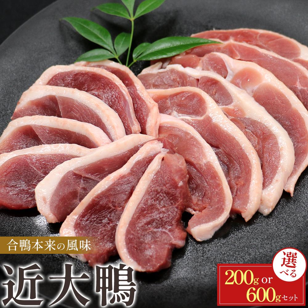 【ふるさと納税】【選べる容量】近大鴨 合計200g or 600g セット | 肉 お肉 にく 食品 鴨 人気 おすすめ 送料無料 ギフト