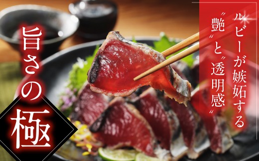 訳あり かつおのたたき 1kg と 愛南ゴールド 真鯛 200g お試し セット 10000円 サイズ 不揃い 規格外 カツオたたき 鰹たたき