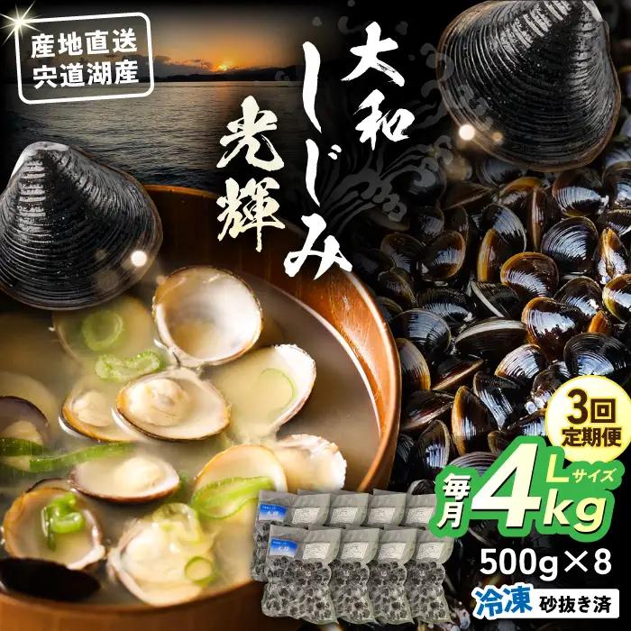 【全3回定期便】産地直送！宍道湖産 冷凍大和しじみLサイズ4kg(500g×8) 砂抜き処理済 島根県松江市/りすたむMatsue[ALDE016]