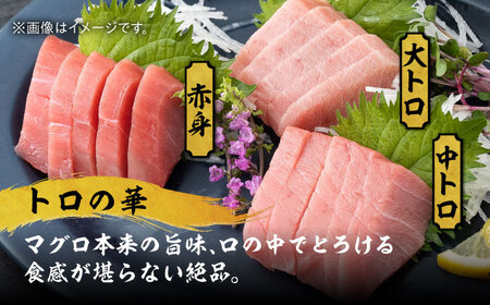 べっぴんあなご・トロの華の詰め合わせ [WAQ002] あなご マグロ あなご セット あなご