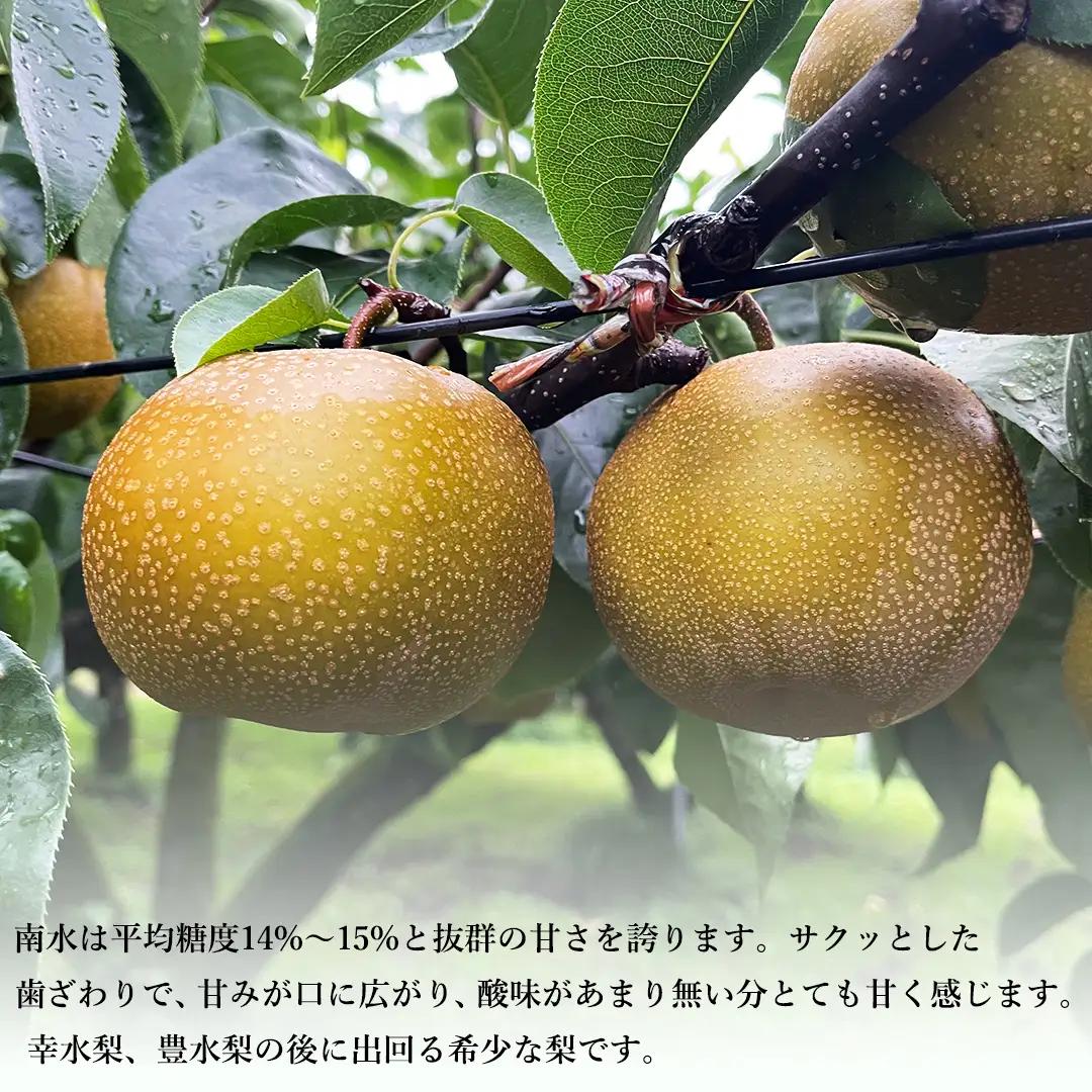 【 先行予約 】茨城県産 梨 南水 約3kg 7玉～9玉 ( 茨城県共通返礼品 : 常陸太田市 )【 2026年 9月中旬頃より発送 】