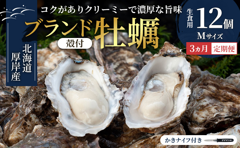 【 3ヵ月 定期便 】 北海道厚岸産 生食用 殻付カキ Mサイズ  