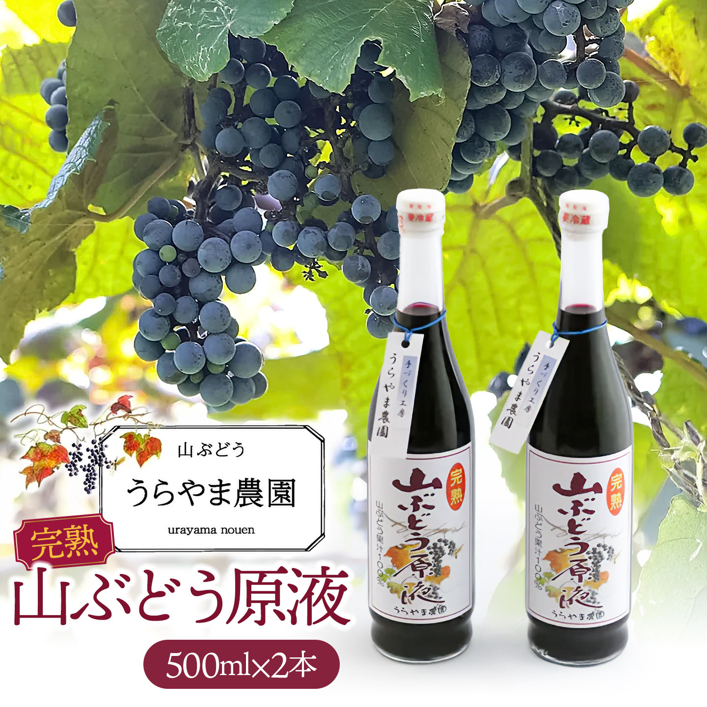 【ふるさと納税】うらやま農園の完熟山ぶどう原液　500ml×2本　山形県鶴岡市　K-844 | やまぶどう 山葡萄 飲料 果汁 飲料 ポリフェノール 贈り物 ギフト お取り寄せ 返礼品