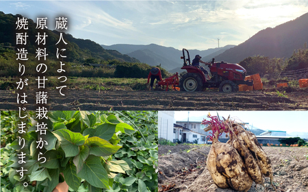 【全6回定期便】【上五島産の芋で作る本格芋焼酎】越鳥南枝 2本セット 各720ml×1本【五島灘酒造】[RAW028]