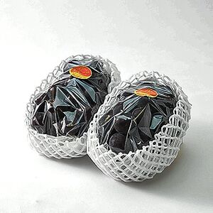【岡山県産】みずみずしくジューシー大粒 ニューピオーネ 2房セット (1～1.5kg)【配送不可地域：離島】【1433058】