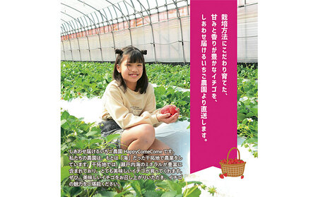 贈答用 白いちご～月のしずく～PREMIUM SIZE　いちご
