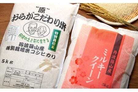 新米　R６年産　丹波篠山産特別栽培コシヒカリ白米5kg　R６年産　丹波篠山産特別栽培ミルキークイーン白米5kg BE03 兵庫県 丹波篠山市 白米 100％単一原料米 産地直送米 贈答 おいしい お米