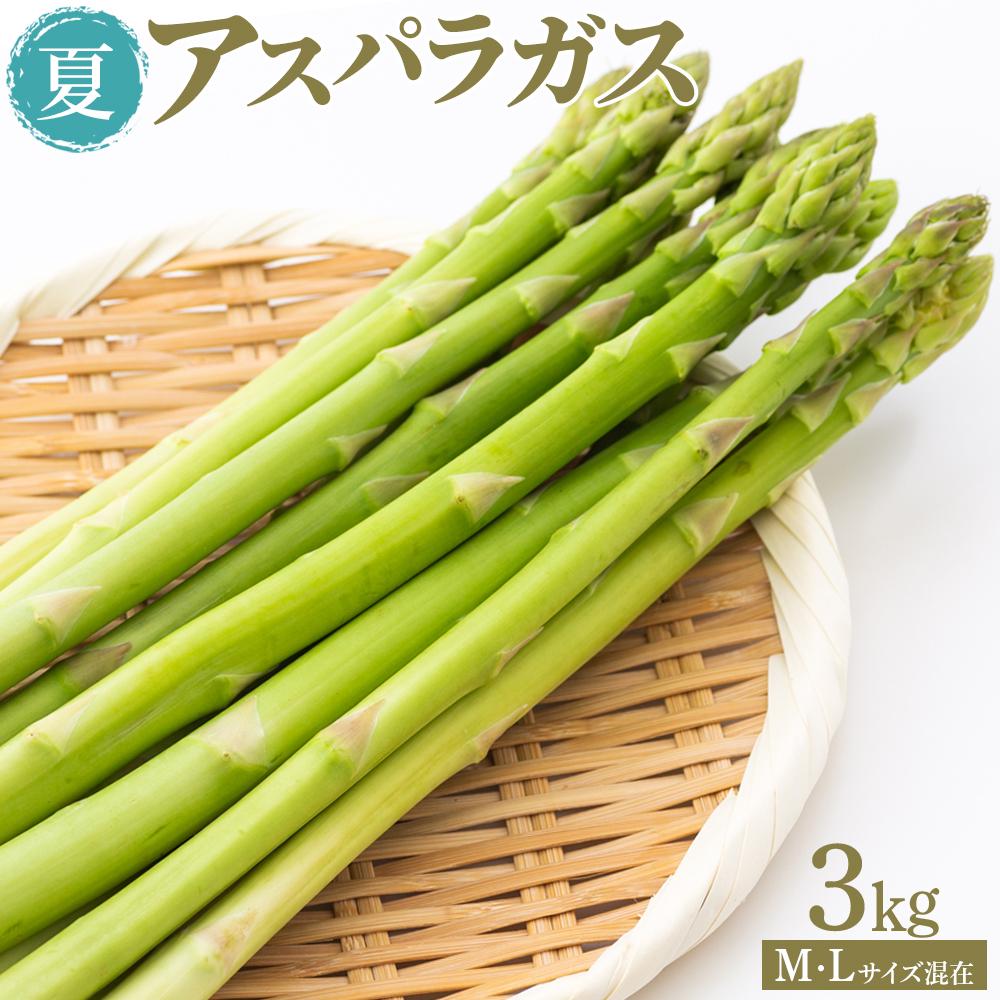 【ふるさと納税】夏アスパラガス 3kg M・Lサイズ混在 2026年6月より順次発送