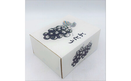 内子町産　シャインマスカット　秀品　2房　1.0kg｜ｼｬｲﾝﾏｽｶｯﾄ ｼｬｲﾝﾏｽｶｯﾄ ｼｬｲﾝﾏｽｶｯﾄ ｼｬｲﾝﾏｽｶｯﾄ ｼｬｲﾝﾏｽｶｯﾄ