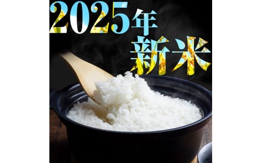 【令和7年度新米先行予約】栃木県産コシヒカリ 無洗米 5kg 定期便3回 【栃木県共通返礼品】| 定期便 お米 米 こめ 洗米 新米 無洗米 コシヒカリ こしひかり 美味しい お弁当 選べる ふるさと