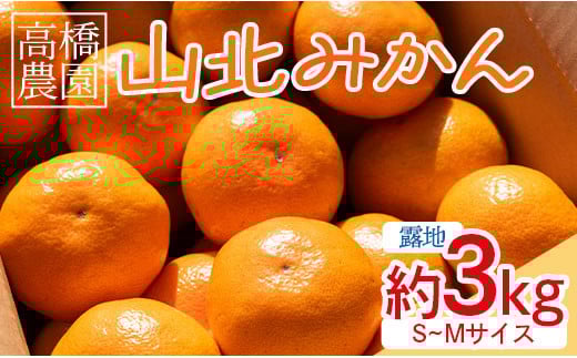 みかん 3kg 甘い 山北みかん 先行受付 (露地・Ｓ～Ｍ) ギフト用 高橋農園 - 果物 フルーツ ミカン 蜜柑 柑橘 th-0017