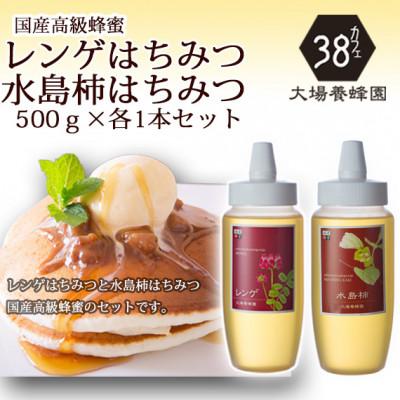 ふるさと納税 富山市 富山県産レンゲ蜂蜜500g×1本・水島柿蜂蜜500g×1本　セット