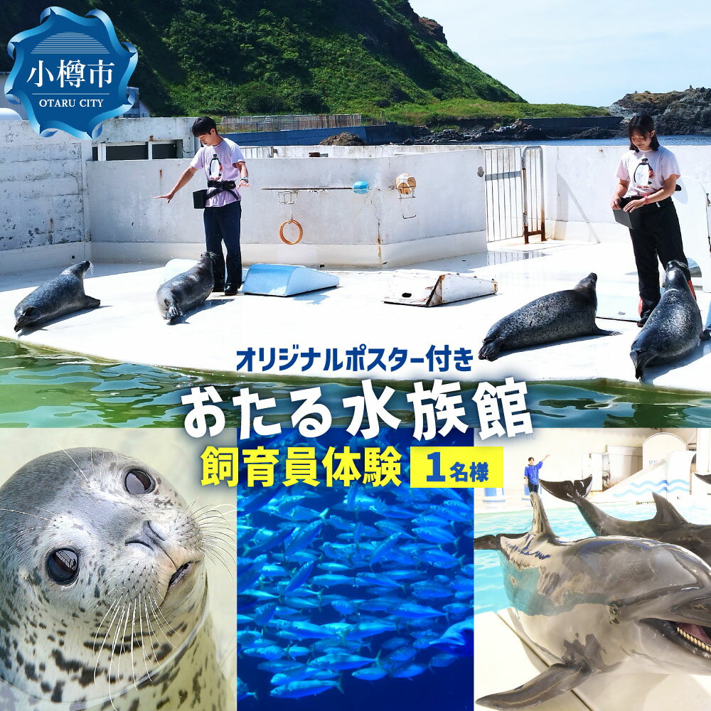 【ふるさと納税】おたる水族館 飼育員体験（オリジナルポスター付） 体験チケット 1名様分 電子チケット トレーナー 飼育員 ペンギン アザラシ 水生生物 動物 生き物 施設利用券 旅行 観光 北海道 小樽市 送料無料