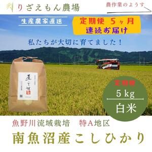 《新米予約受付》【定期便5回×5kg《合計25kg》】令和６年産　南魚沼産コシヒカリ　白米5kg＼生産農家直送／