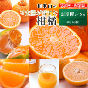 家庭用 柑橘定期便S（毎月）全12回 ［IKE300］
