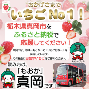 朝採れのいちご とちあいか 朝摘み いちご 苺 イチゴ ストロベリー 大きい 美味しい 果汁 甘い あまい 1000g 真岡市 栃木県 送料無料